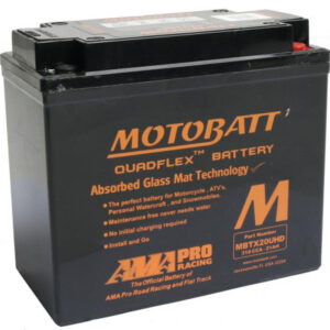 Quadflex AGM Battery AGM, 310 A, 21.0 Ah